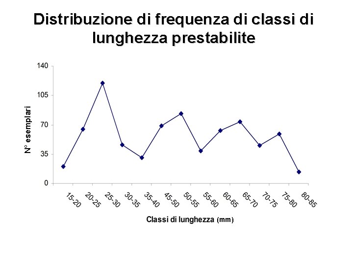 N° esemplari Distribuzione di frequenza di classi di lunghezza prestabilite (mm) 