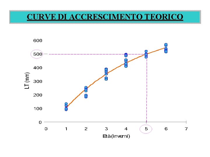 CURVE DI ACCRESCIMENTO TEORICO 