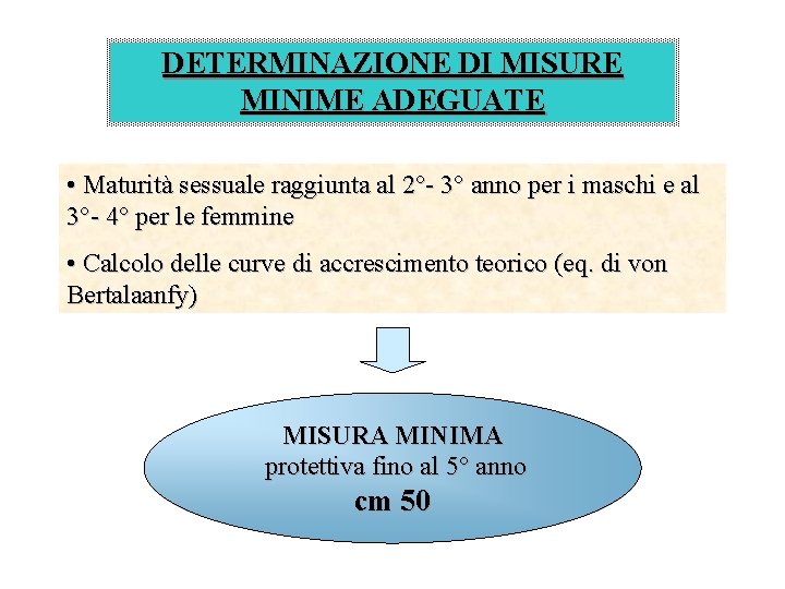 DETERMINAZIONE DI MISURE MINIME ADEGUATE • Maturità sessuale raggiunta al 2°- 3° anno per