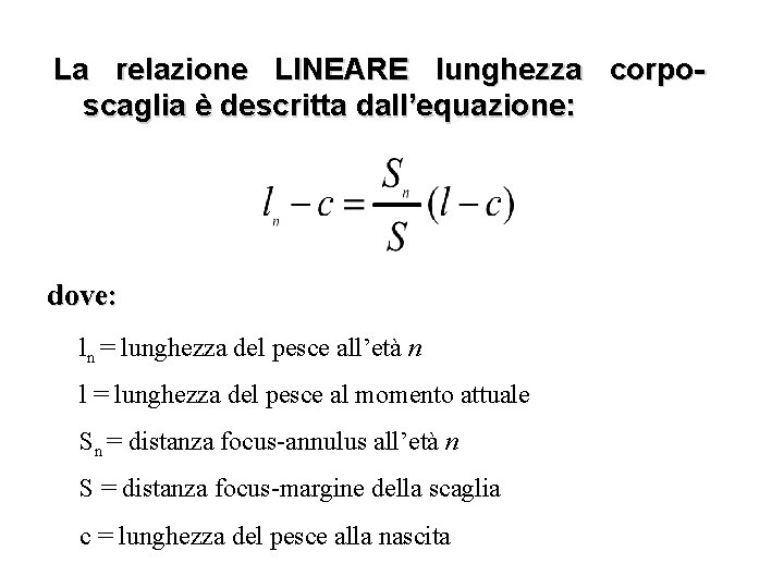 La relazione LINEARE lunghezza corposcaglia è descritta dall’equazione: dove: ln = lunghezza del pesce