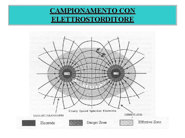 CAMPIONAMENTO CON ELETTROSTORDITORE 