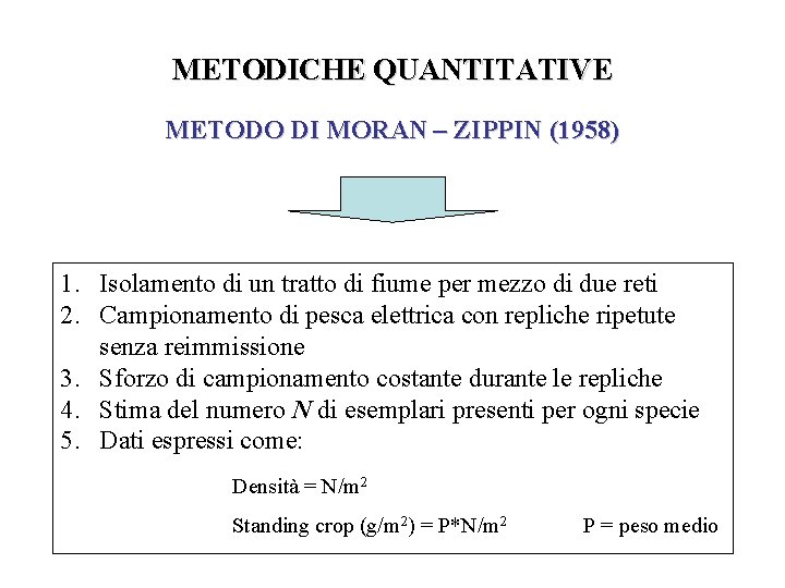 METODICHE QUANTITATIVE METODO DI MORAN – ZIPPIN (1958) 1. Isolamento di un tratto di