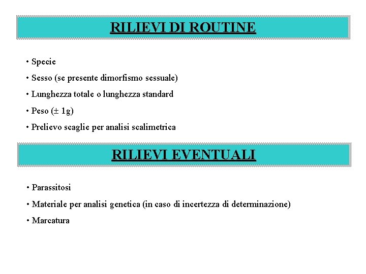 RILIEVI DI ROUTINE • Specie • Sesso (se presente dimorfismo sessuale) • Lunghezza totale