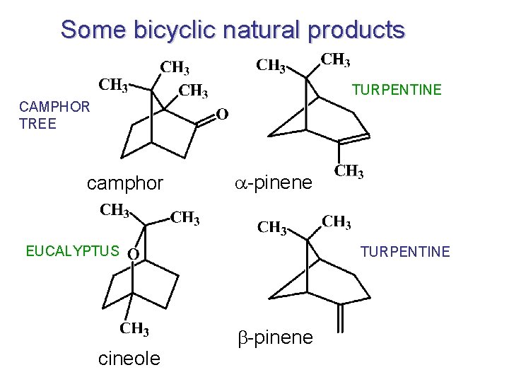 Some bicyclic natural products TURPENTINE CAMPHOR TREE camphor a-pinene EUCALYPTUS cineole TURPENTINE b-pinene 