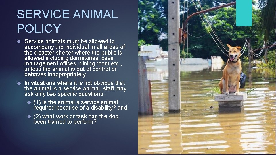 SERVICE ANIMAL POLICY Service animals must be allowed to accompany the individual in all