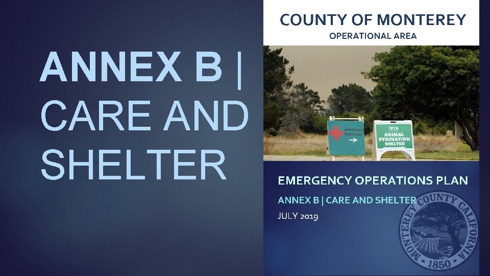 ANNEX B | CARE AND SHELTER 
