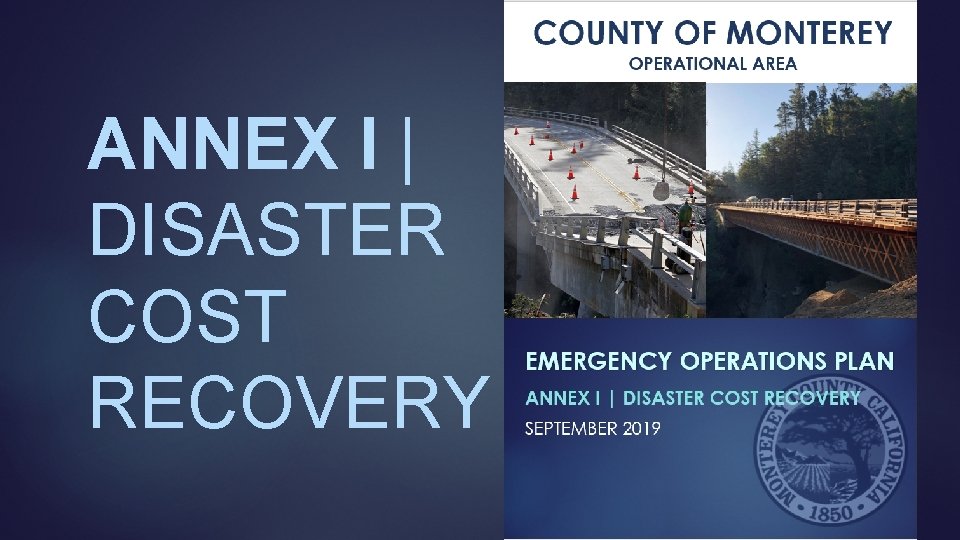ANNEX I | DISASTER COST RECOVERY 