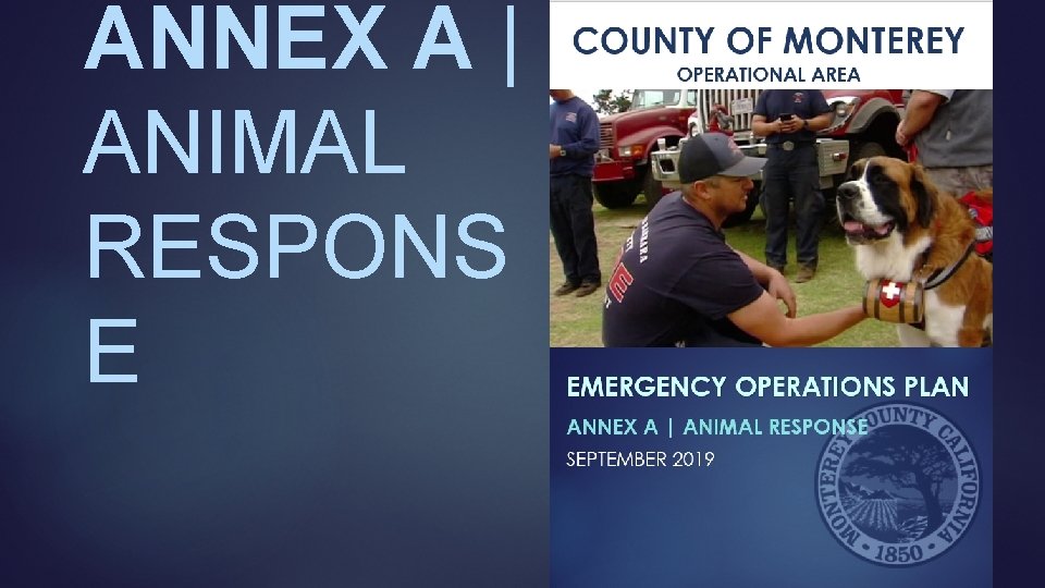 ANNEX A | ANIMAL RESPONS E 