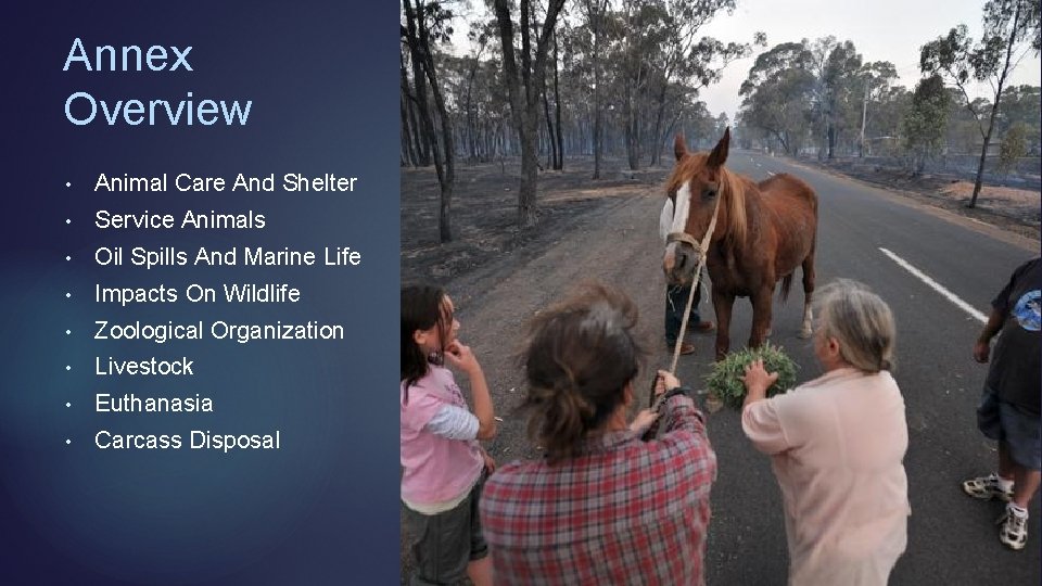 Annex Overview • Animal Care And Shelter • Service Animals • Oil Spills And