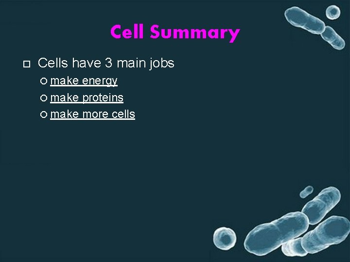 Cell Summary Cells have 3 main jobs make energy make proteins make more cells Cell Summary Cells have 3 main jobs make energy make proteins make more cells