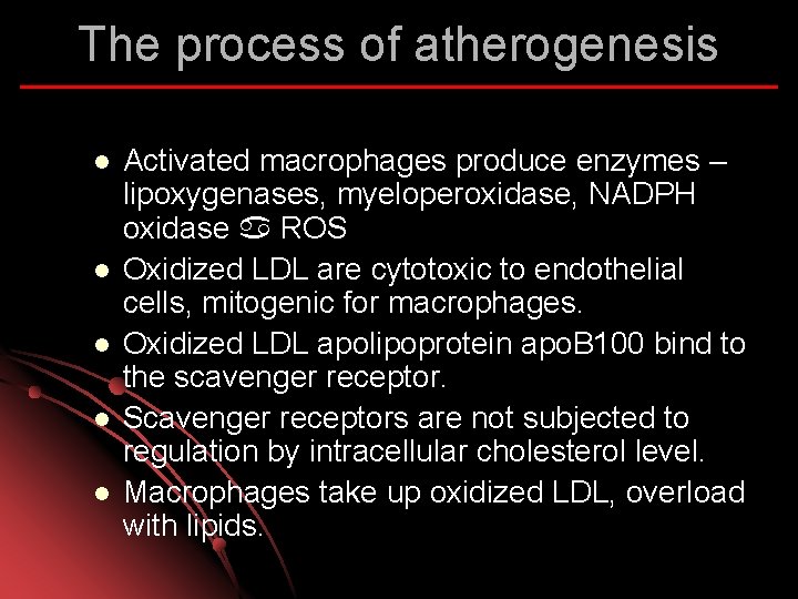The process of atherogenesis l l l Activated macrophages produce enzymes – lipoxygenases, myeloperoxidase,