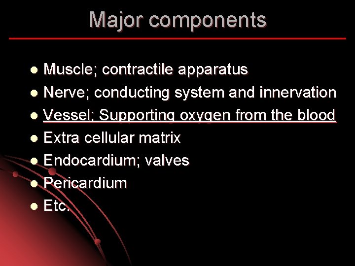 Major components Muscle; contractile apparatus l Nerve; conducting system and innervation l Vessel; Supporting