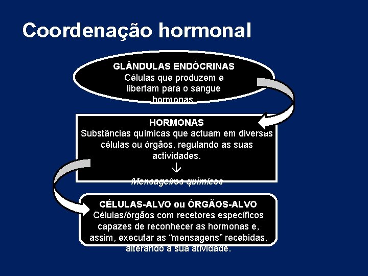 Coordenação hormonal GL NDULAS ENDÓCRINAS Células que produzem e libertam para o sangue hormonas. Coordenação hormonal GL NDULAS ENDÓCRINAS Células que produzem e libertam para o sangue hormonas.