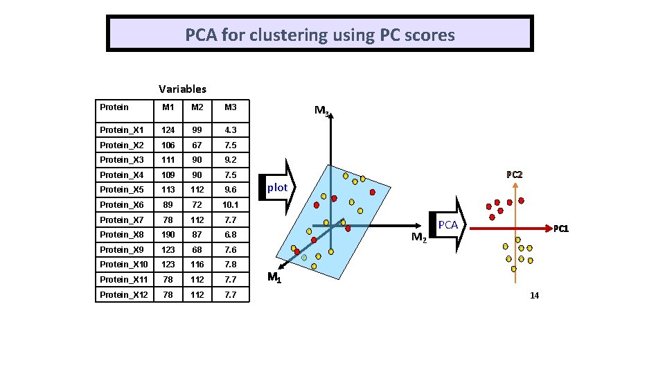 PCA for clustering using PC scores Variables Protein M 1 M 2 M 3 PCA for clustering using PC scores Variables Protein M 1 M 2 M 3