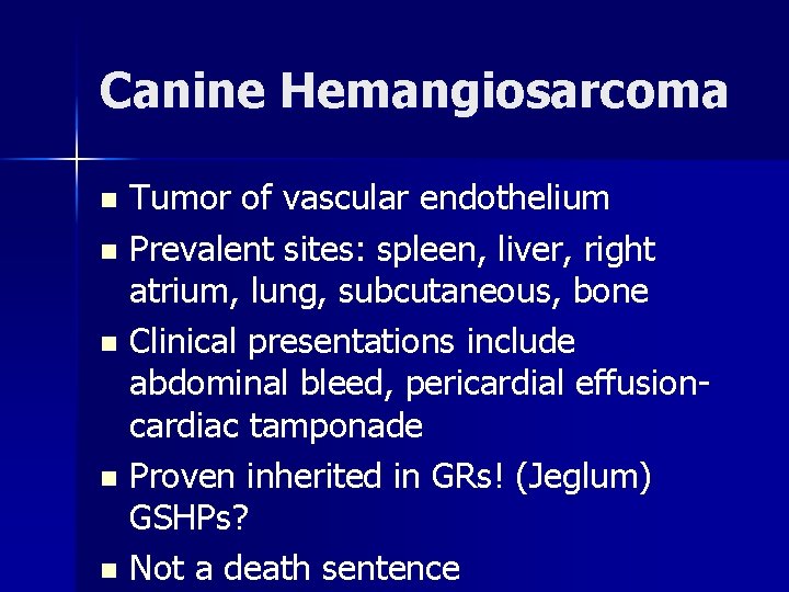 Canine Hemangiosarcoma Tumor of vascular endothelium n Prevalent sites: spleen, liver, right atrium, lung,