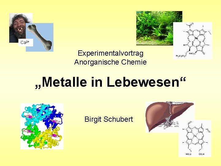 Ca 2+ Experimentalvortrag Anorganische Chemie „Metalle in Lebewesen“ Birgit Schubert 