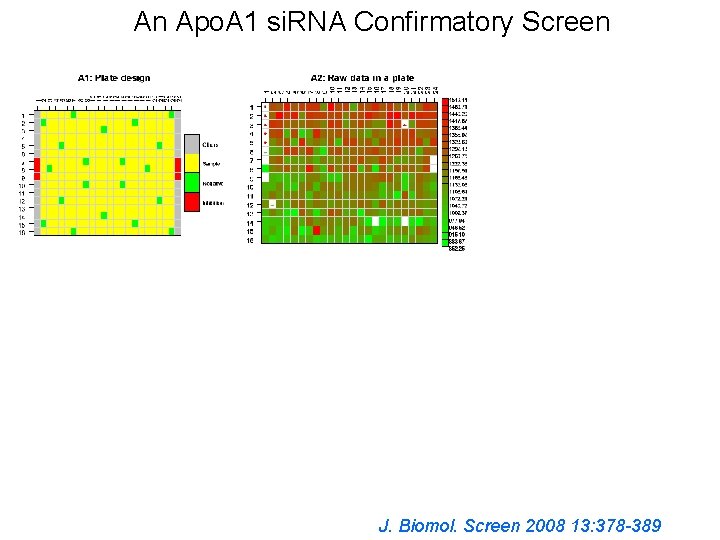 An Apo. A 1 si. RNA Confirmatory Screen J. Biomol. Screen 2008 13: 378 An Apo. A 1 si. RNA Confirmatory Screen J. Biomol. Screen 2008 13: 378