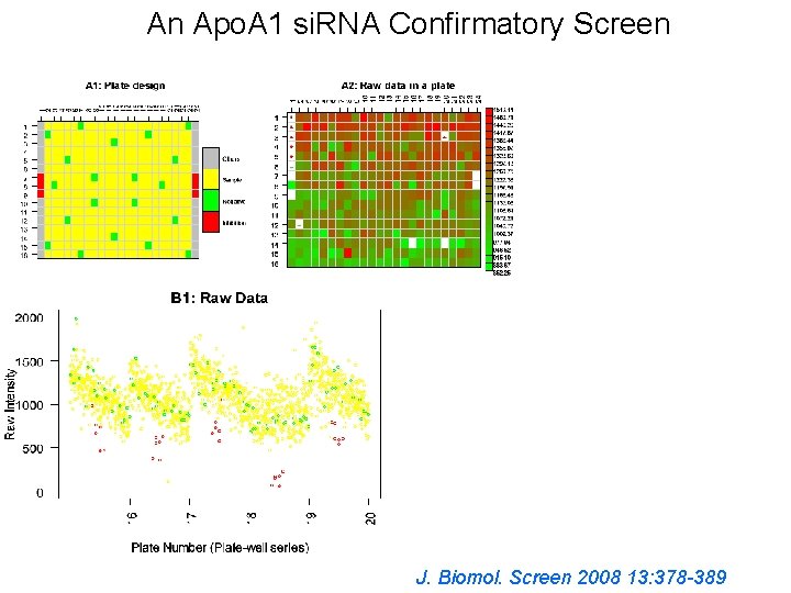 An Apo. A 1 si. RNA Confirmatory Screen J. Biomol. Screen 2008 13: 378 An Apo. A 1 si. RNA Confirmatory Screen J. Biomol. Screen 2008 13: 378