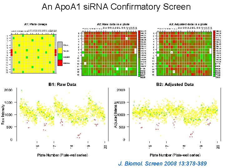An Apo. A 1 si. RNA Confirmatory Screen J. Biomol. Screen 2008 13: 378 An Apo. A 1 si. RNA Confirmatory Screen J. Biomol. Screen 2008 13: 378