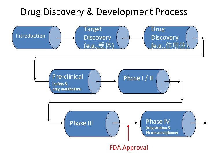 Drug Discovery & Development Process Drug Discovery (e. g. , 作用体) Target Discovery (e. Drug Discovery & Development Process Drug Discovery (e. g. , 作用体) Target Discovery (e.