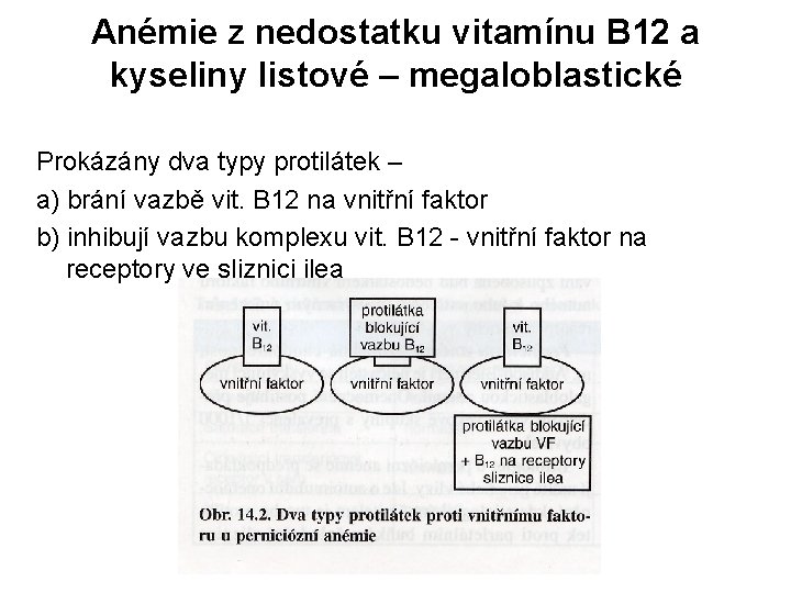 anemie z nedostatku vit b12