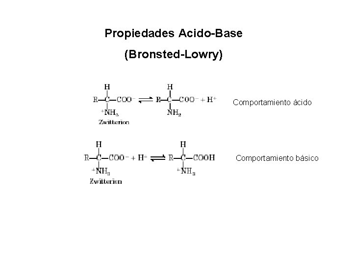 Propiedades Acido-Base (Bronsted-Lowry) Comportamiento ácido Comportamiento básico 