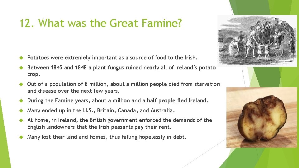 12. What was the Great Famine? Potatoes were extremely important as a source of