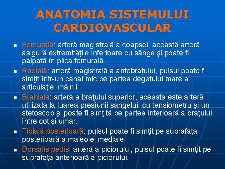 ANATOMIA SISTEMULUI CARDIOVASCULAR n n n Femurală: arteră magistrală a coapsei, această arteră asigură