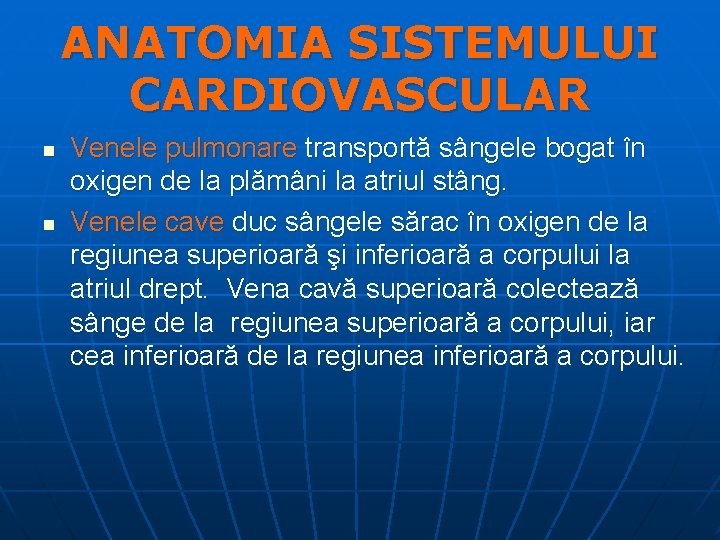 ANATOMIA SISTEMULUI CARDIOVASCULAR n n Venele pulmonare transportă sângele bogat în oxigen de la