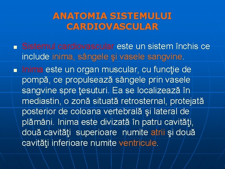 ANATOMIA SISTEMULUI CARDIOVASCULAR n n Sistemul cardiovascular este un sistem închis ce include inima,