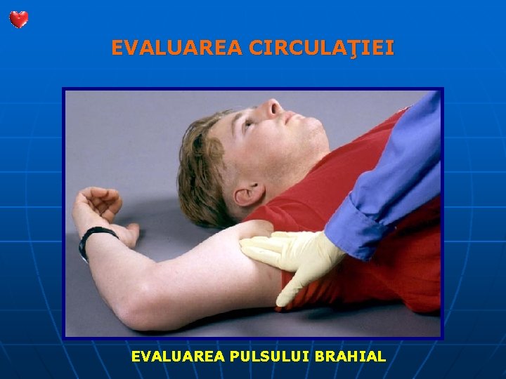 EVALUAREA CIRCULAŢIEI EVALUAREA PULSULUI BRAHIAL 