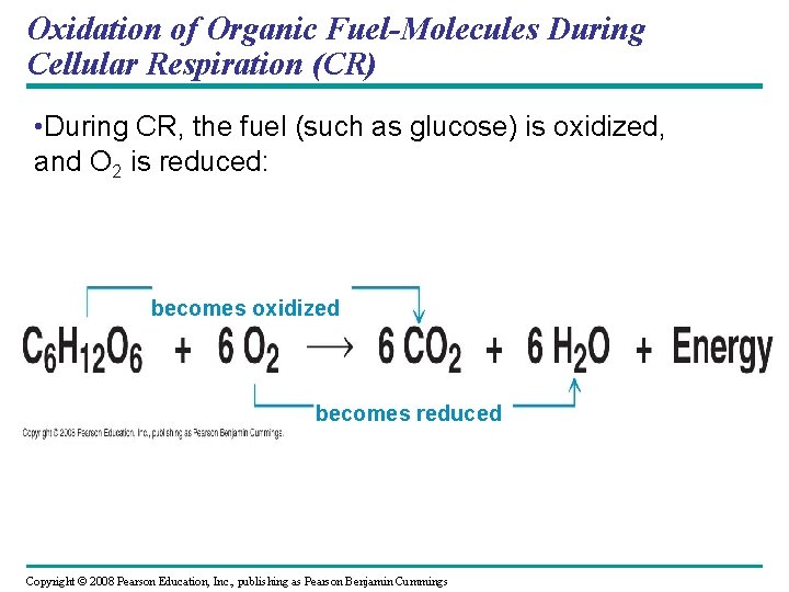 Oxidation of Organic Fuel-Molecules During Cellular Respiration (CR) • During CR, the fuel (such