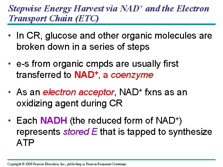 Stepwise Energy Harvest via NAD+ and the Electron Transport Chain (ETC) • In CR,