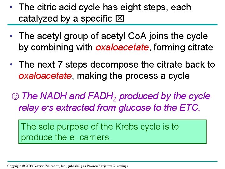  • The citric acid cycle has eight steps, each catalyzed by a specific