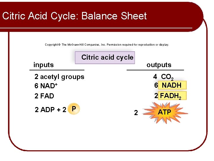 Citric Acid Cycle: Balance Sheet Copyright © The Mc. Graw-Hill Companies, Inc. Permission required