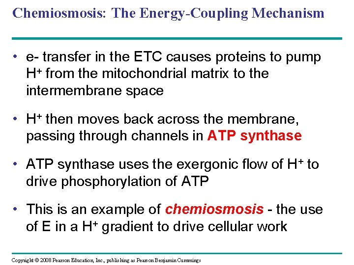 Chemiosmosis: The Energy-Coupling Mechanism • e- transfer in the ETC causes proteins to pump