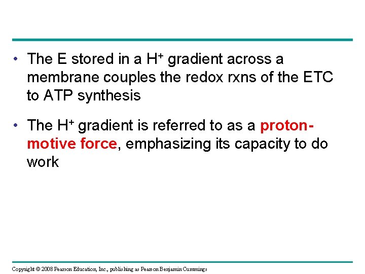  • The E stored in a H+ gradient across a membrane couples the