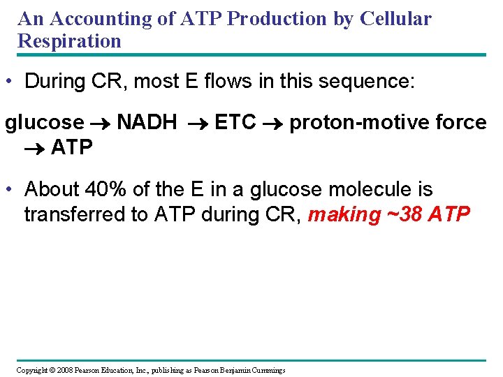 An Accounting of ATP Production by Cellular Respiration • During CR, most E flows