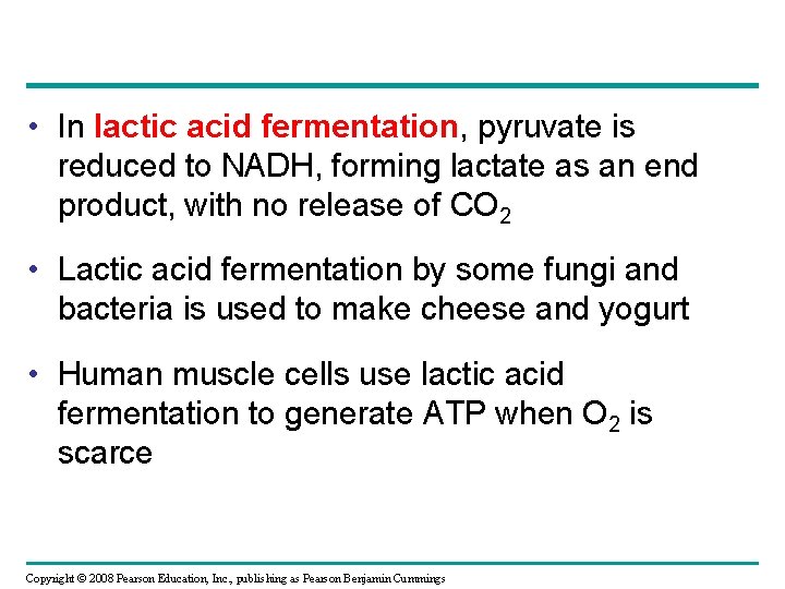  • In lactic acid fermentation, pyruvate is reduced to NADH, forming lactate as