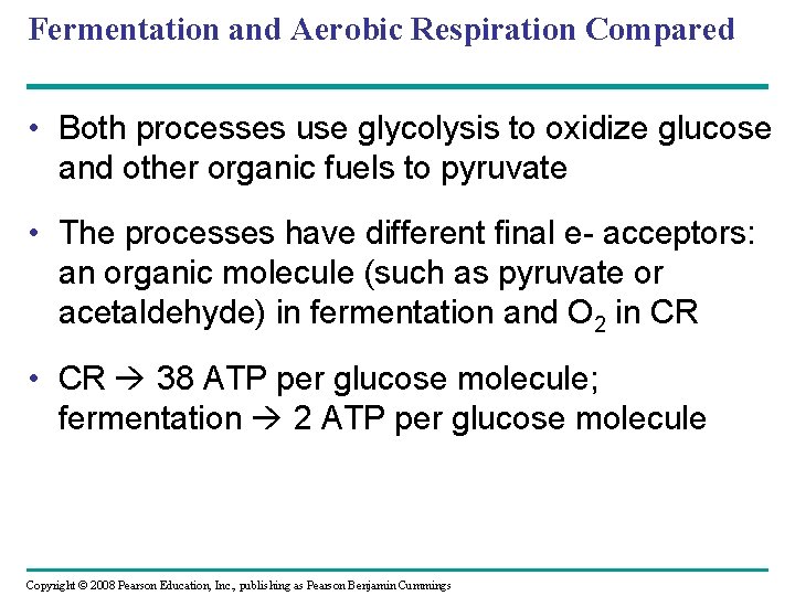 Fermentation and Aerobic Respiration Compared • Both processes use glycolysis to oxidize glucose and