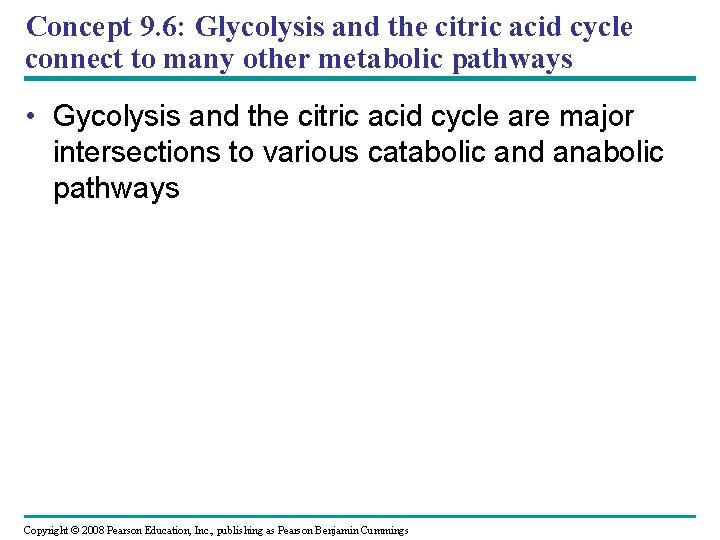 Concept 9. 6: Glycolysis and the citric acid cycle connect to many other metabolic