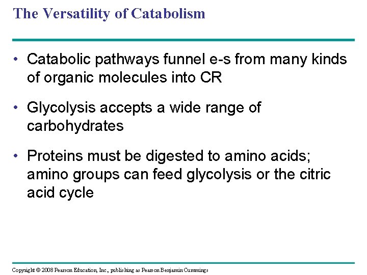 The Versatility of Catabolism • Catabolic pathways funnel e-s from many kinds of organic