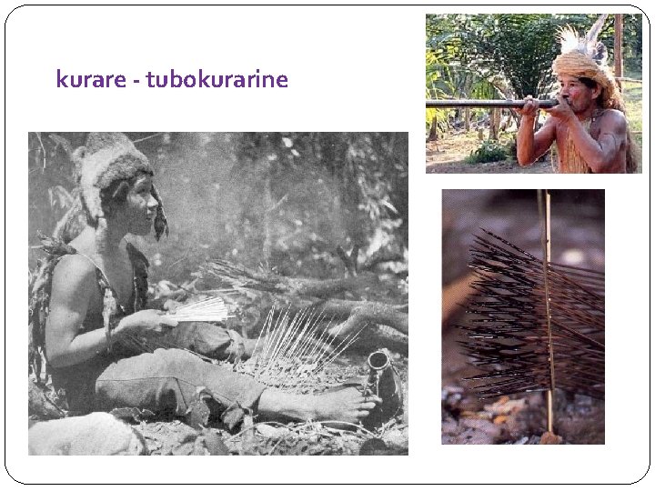 kurare - tubokurarine 