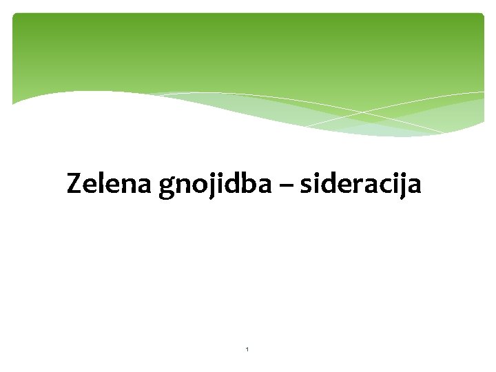 Zelena gnojidba – sideracija 1 