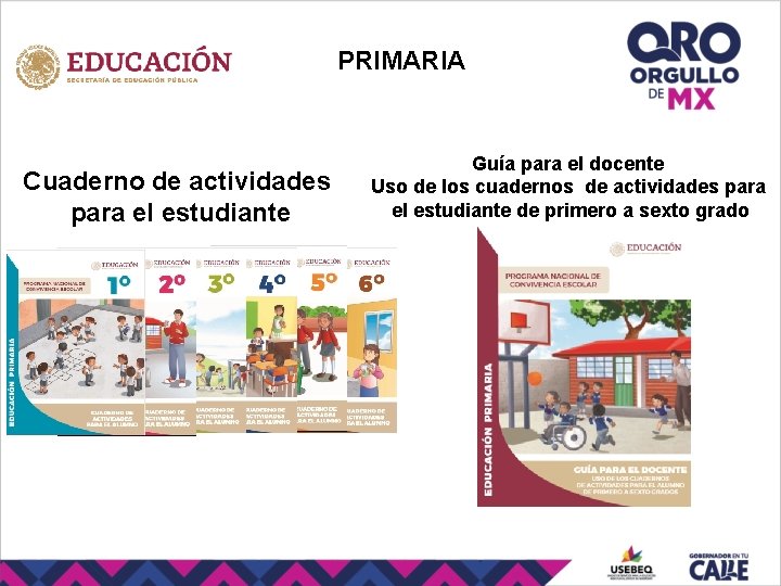 PRIMARIA Cuaderno de actividades para el estudiante Guía para el docente Uso de los