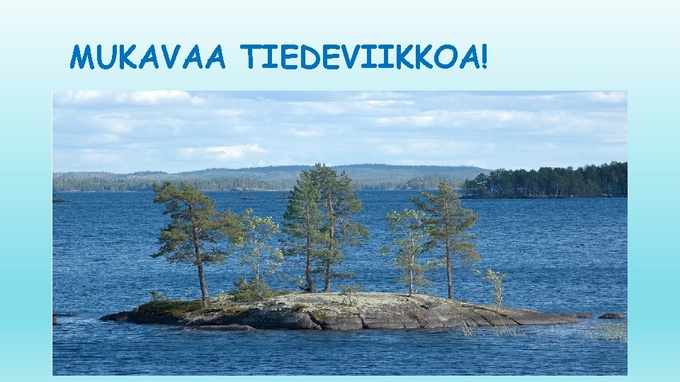 MUKAVAA TIEDEVIIKKOA! 