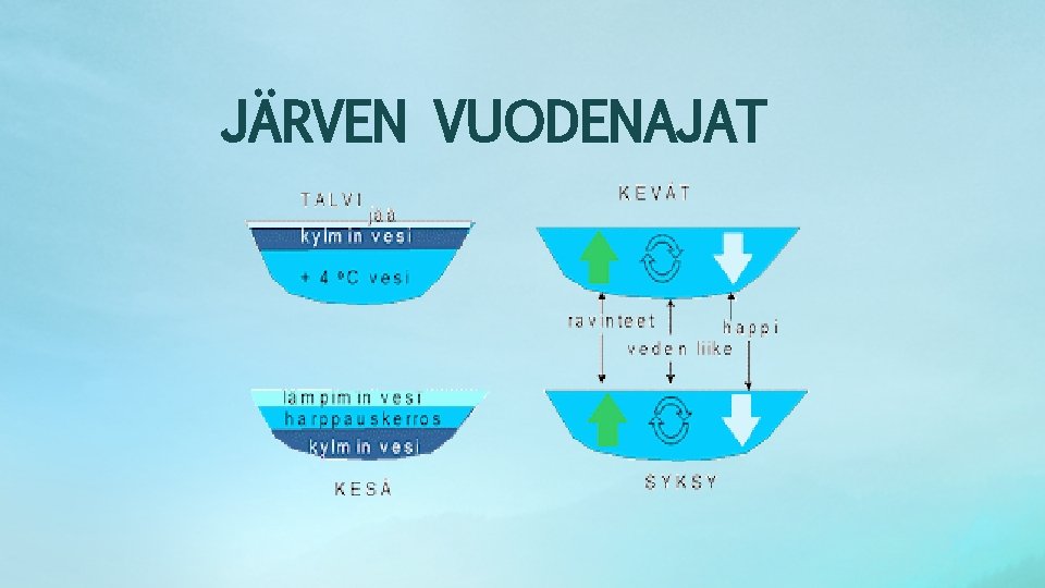 JÄRVEN VUODENAJAT 