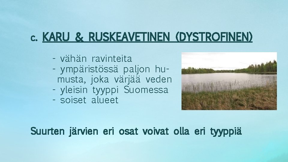 c. KARU & RUSKEAVETINEN (DYSTROFINEN) - vähän ravinteita - ympäristössä paljon humusta, joka värjää