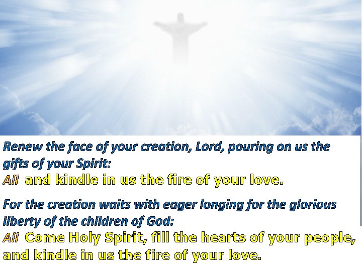 Renew the face of your creation, Lord, pouring on us the gifts of your