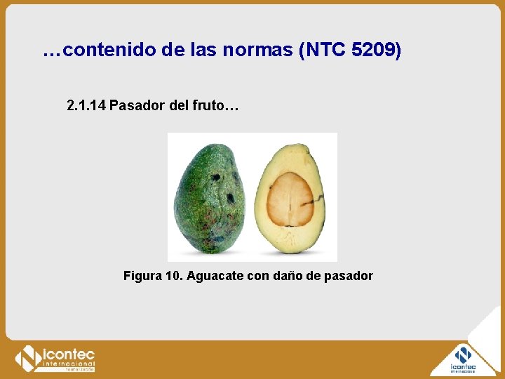 …contenido de las normas (NTC 5209) 2. 1. 14 Pasador del fruto… Figura 10.